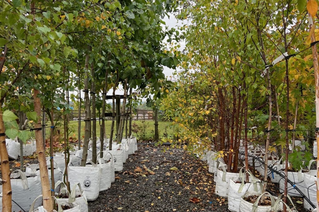 Crop Trees on front