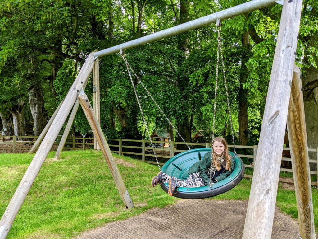 Mother-Shipton-playground-girl-on-swing-scaled
