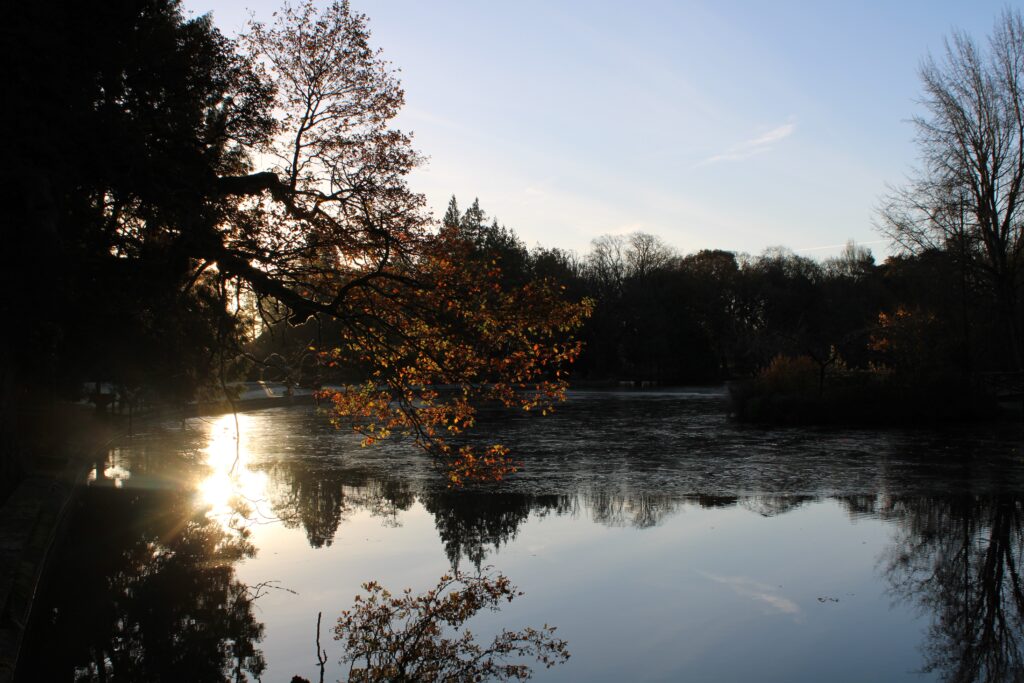 112025_frozenlake_EvieWalker_1