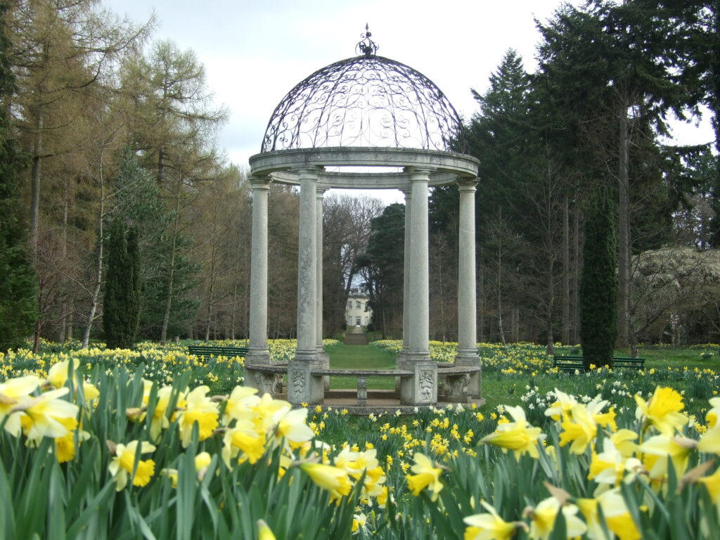 DaffodilsMonument_FaithDouglas_1