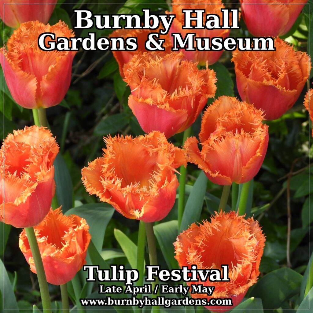 Burnby Hall Gardens Poster (43)
