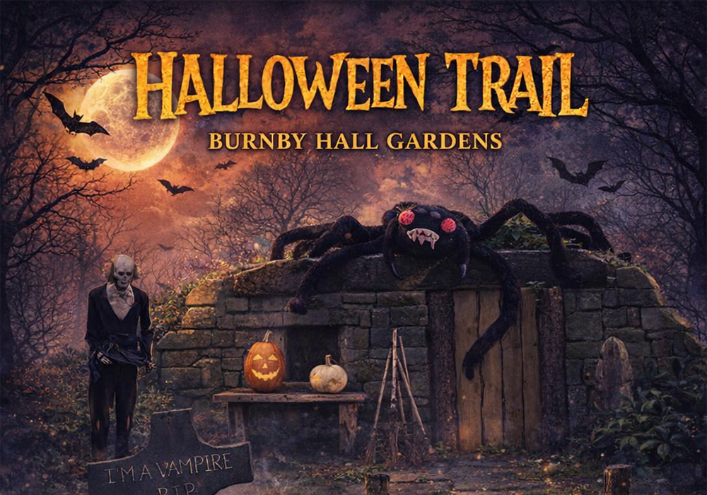 Halloween-Trail