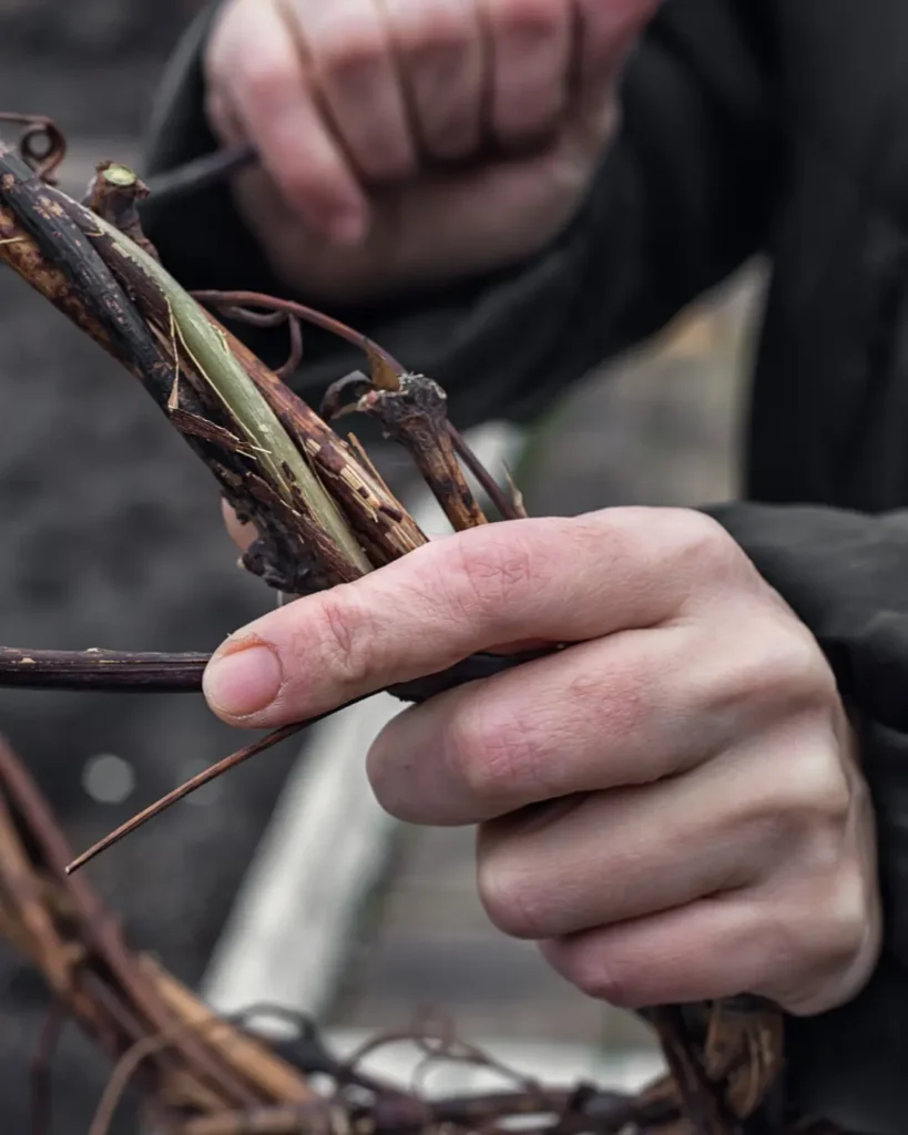 Deer-Willow-Weaving