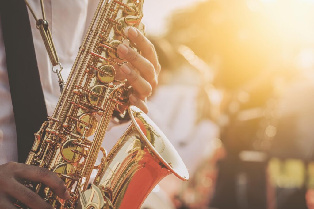 jazz musician playing the saxophone Beautiful voice .Jazz mood C