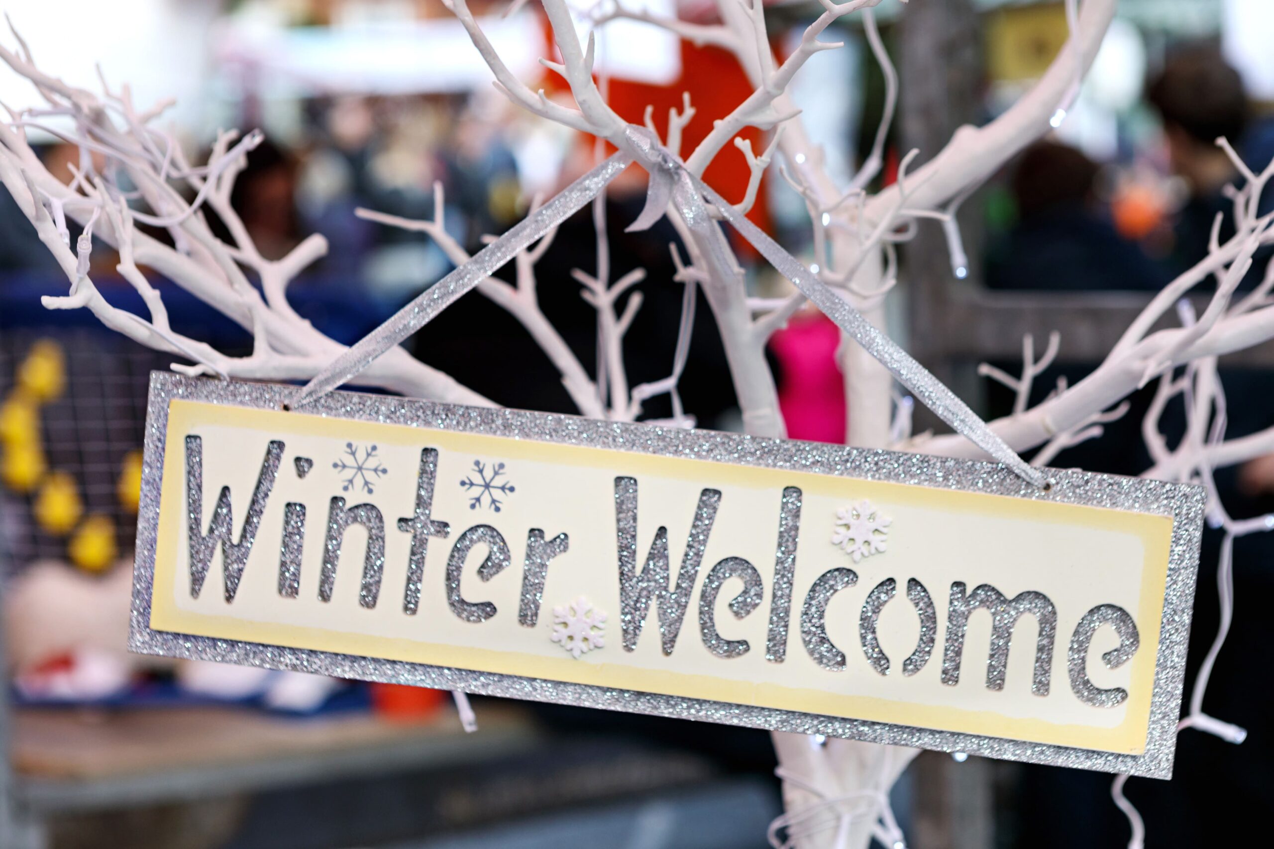 Christmas Events – Yorkshire Dales 1 Charlotte-Gale-Photography-Knaresborough-Christmas-Market-12x8-1533-min