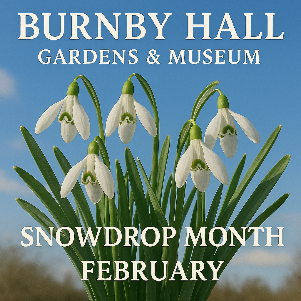Snowdrop Month (3)