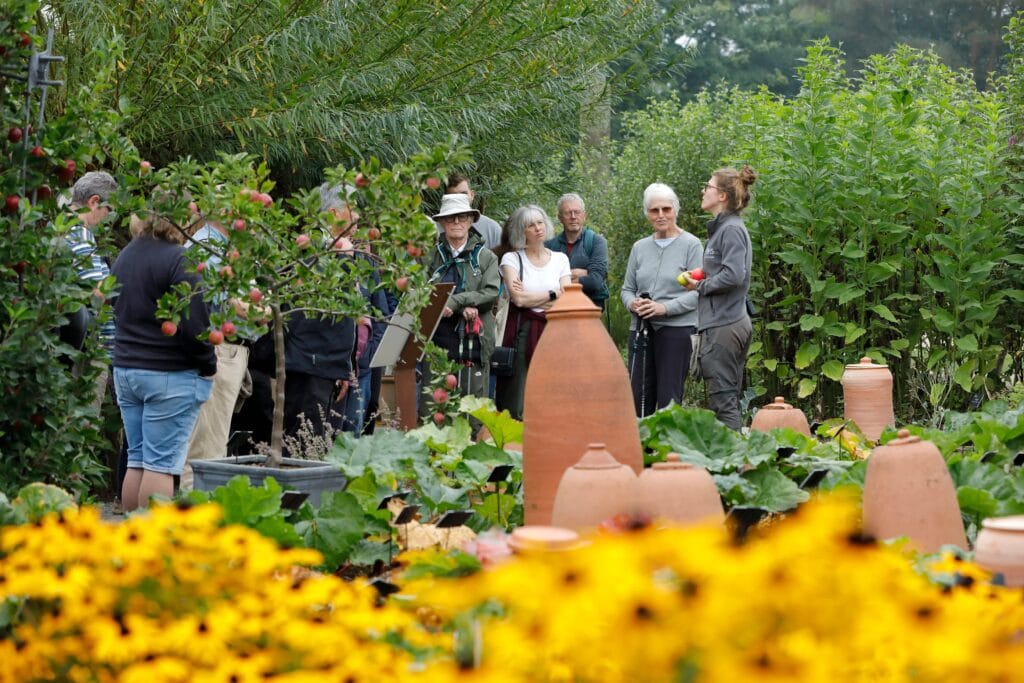Press-Harlow Carr_Festival Of Flavours_Phil Taylor_Sept_2024_053-min