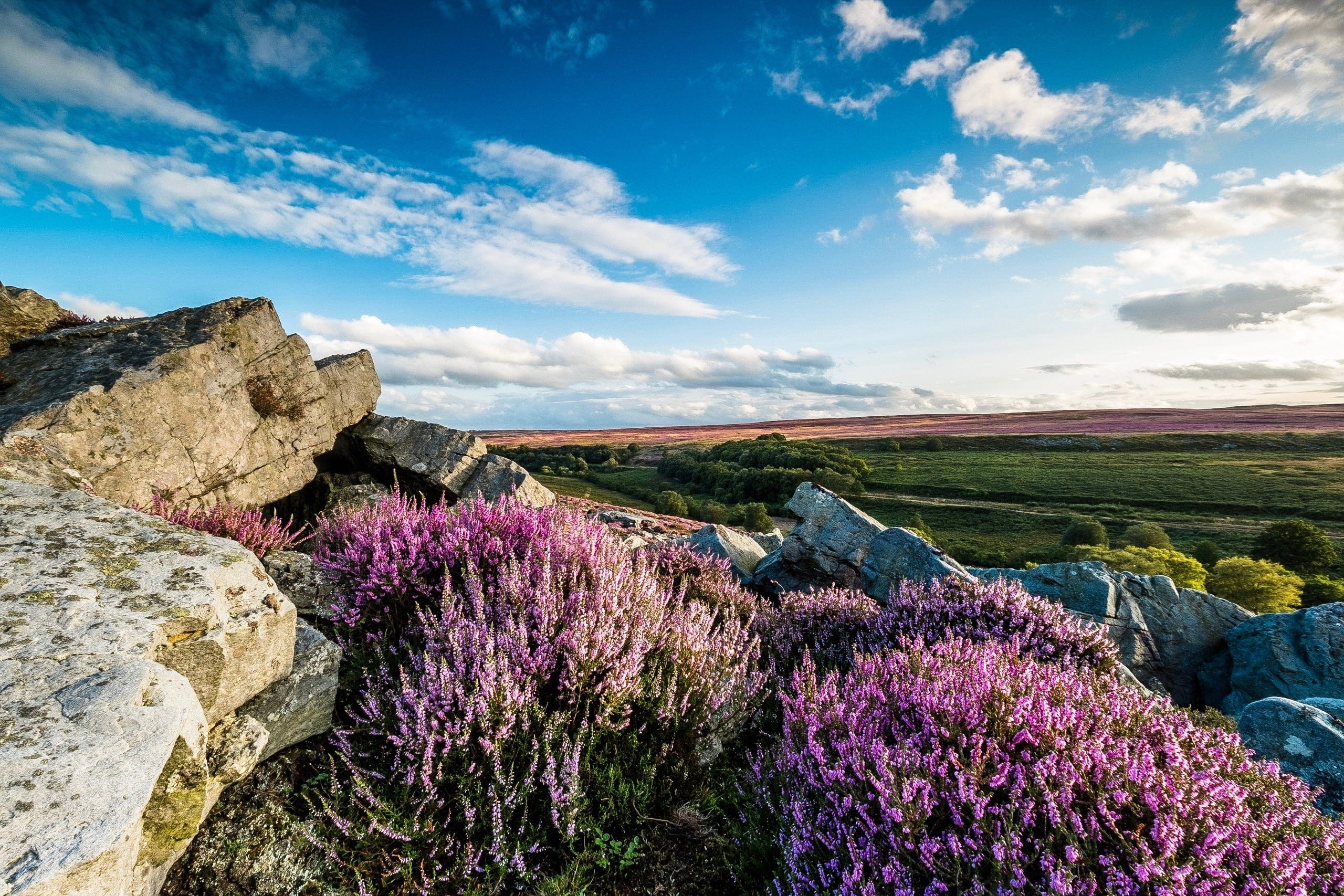 Blog 3 North Yorkshire Moors Scenic View with Heather-min