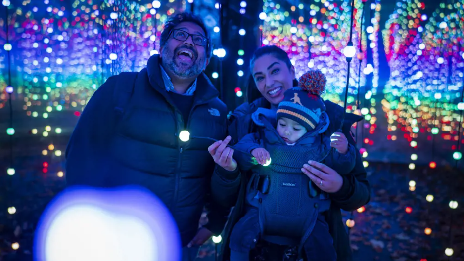 The Christmas Adventure