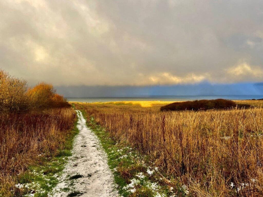 bempton Winter 2 - I Nethercoat