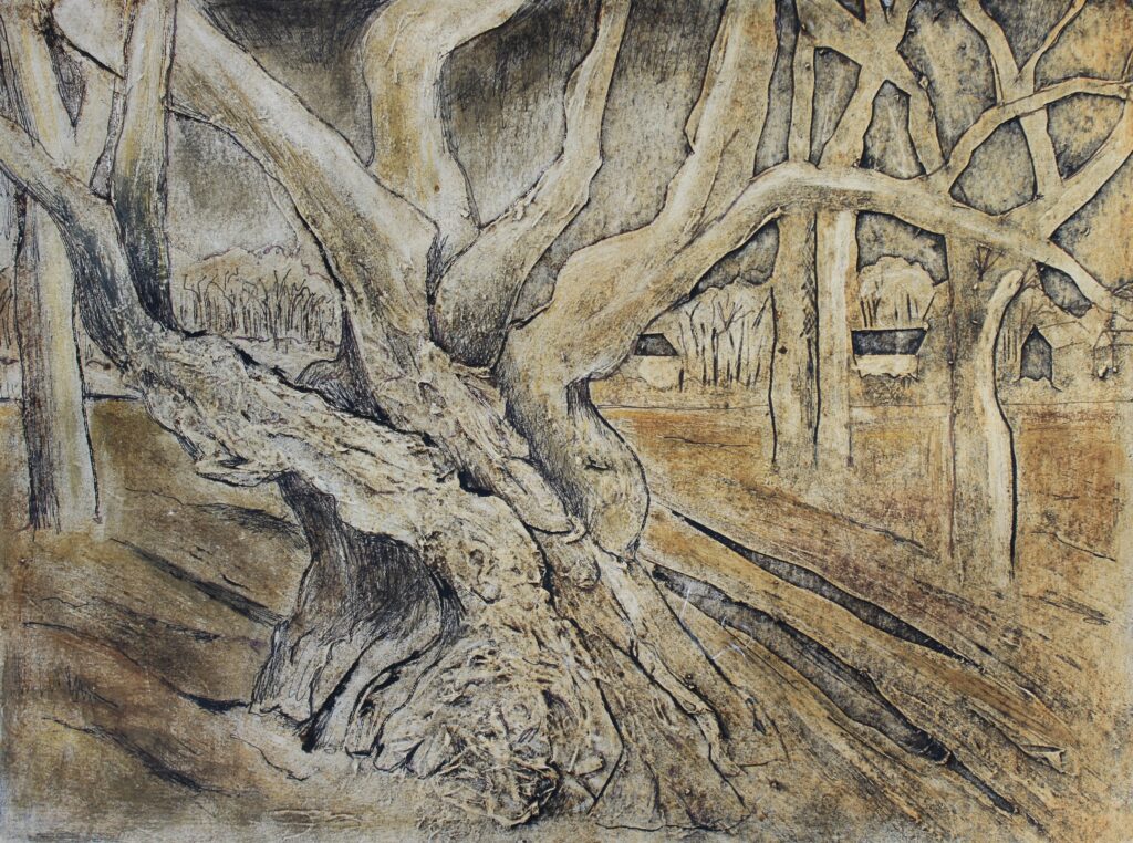 2 Winter Into Spring - Green Door Artists - Dave Sharps Ancient chestnut tree, collagraph print- - Farfield Mill