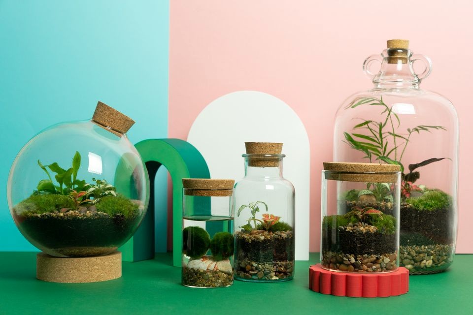 Terrarium Workshop (002)