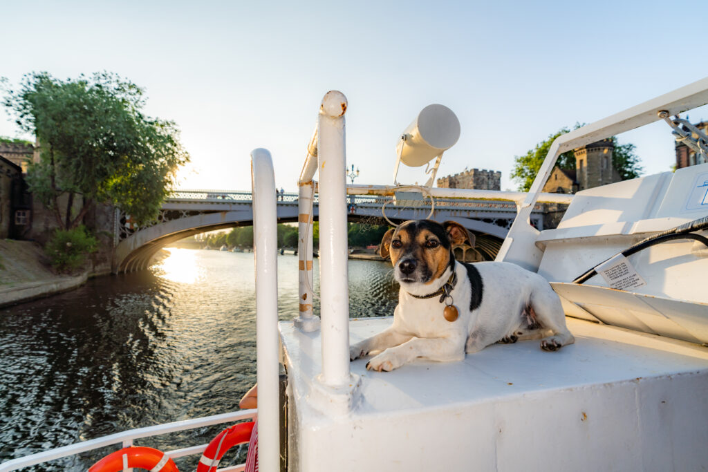 Logo,  Animal,  Canal,  Outdoors,  Shelter,  Summer,  Tree,  Water,  Waterfront