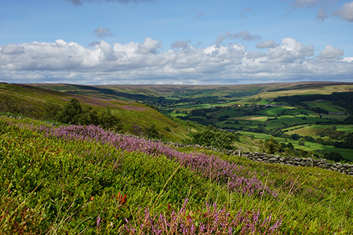 rosedale and ryedale