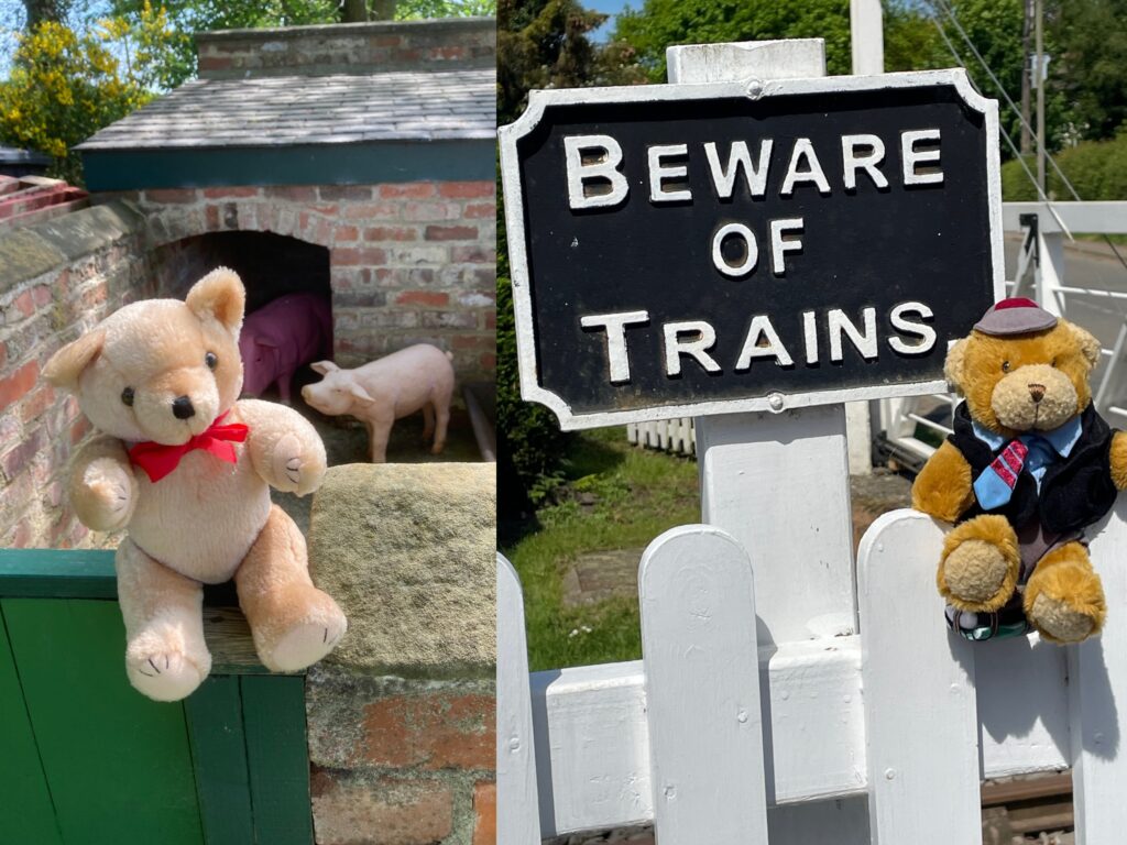 teddy-bears-picnic-2026 (press-release-2)