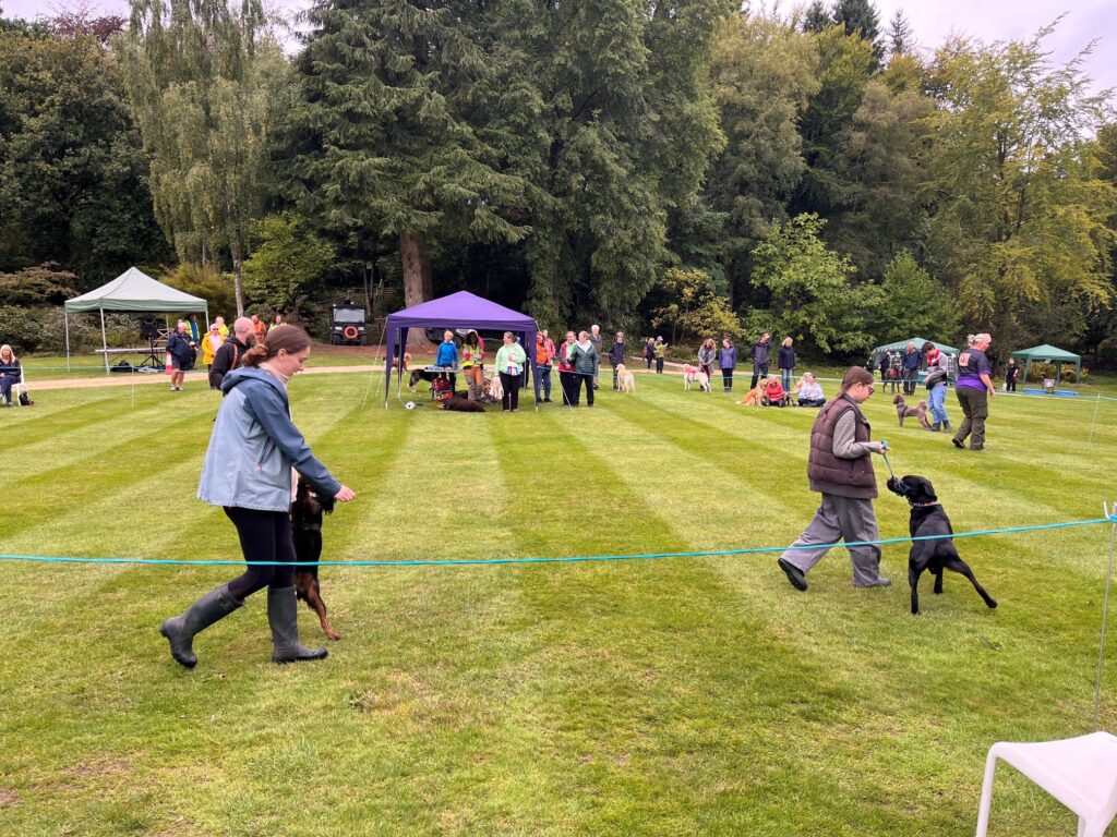 Dog Day at the Himalayan Garden Sculpture Park
