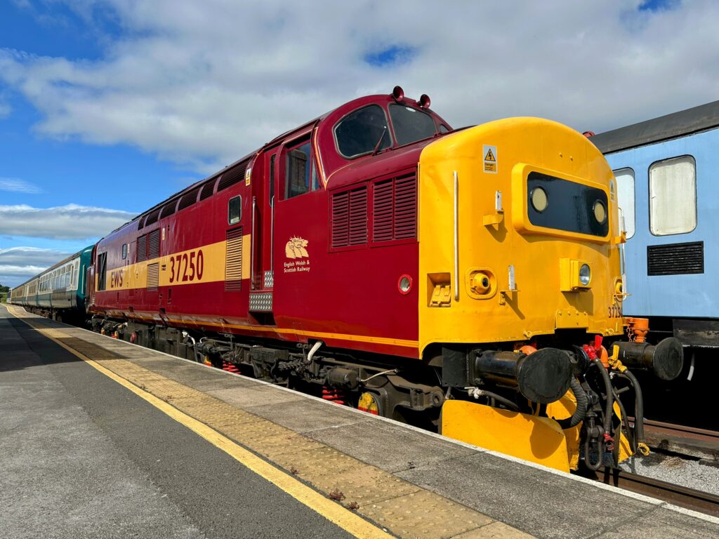IMG_8494 (class 37 Nick Keegan)