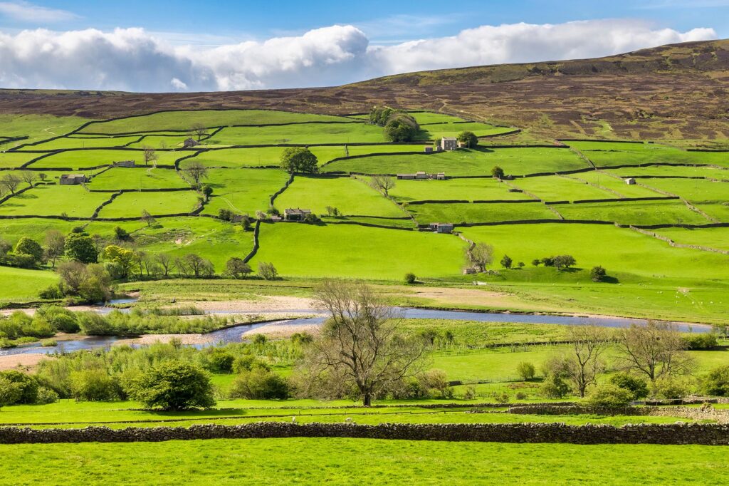 Dry stone walls and stone cottages on a bright spring day with beautiful greens, Swaledale, North Yorkshire, UK