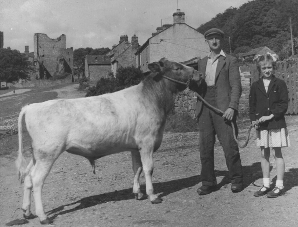 Harold Bryce Thomsonm ‘Showing the Cow, Castle Bolton’