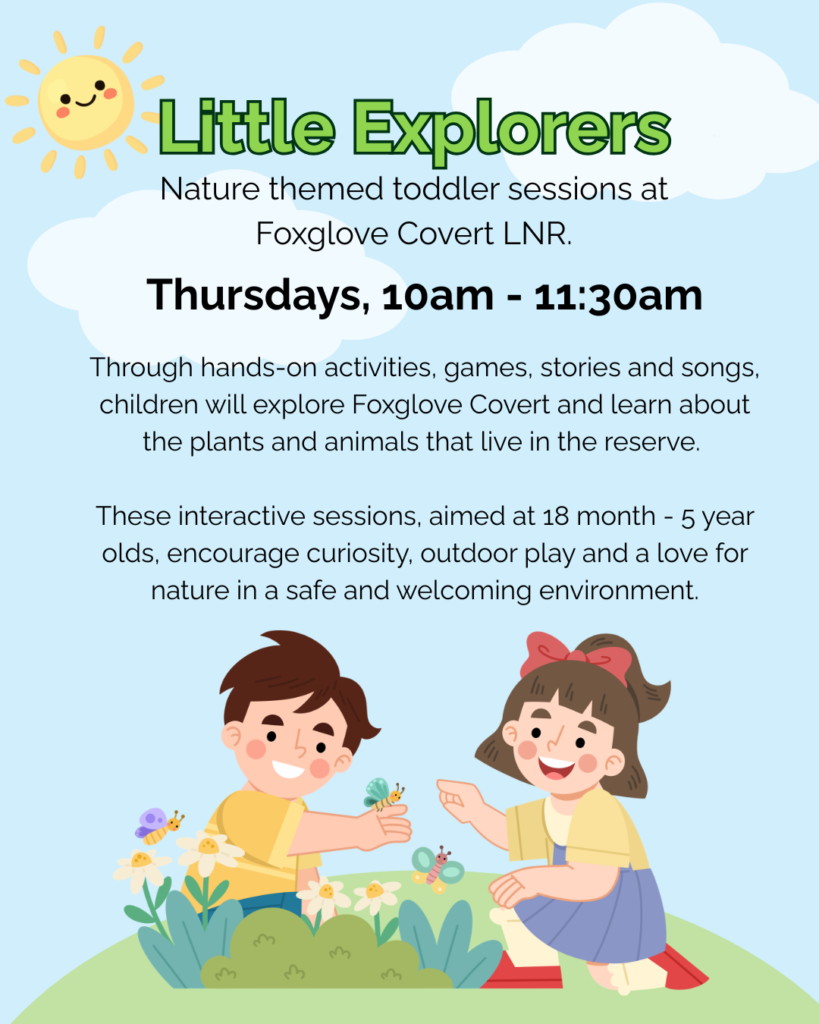 Little Explorers Instagram Post