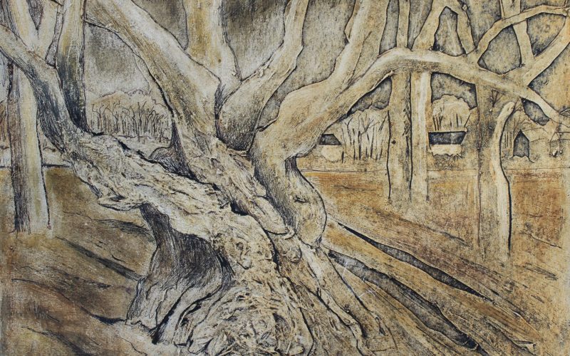 2 Winter Into Spring - Green Door Artists - Dave Sharps Ancient chestnut tree, collagraph print- - Farfield Mill