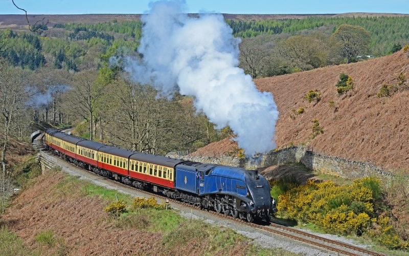 60007 - John Hunt