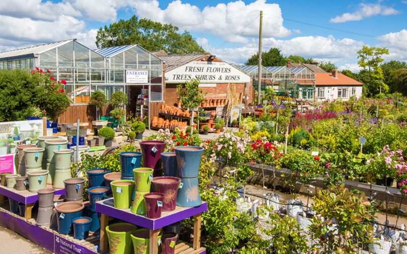 Braithwaites Garden Centre 4
