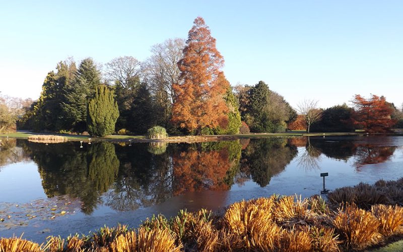 Burnby Hall Gardens - Photograph by Peter Rogers 2