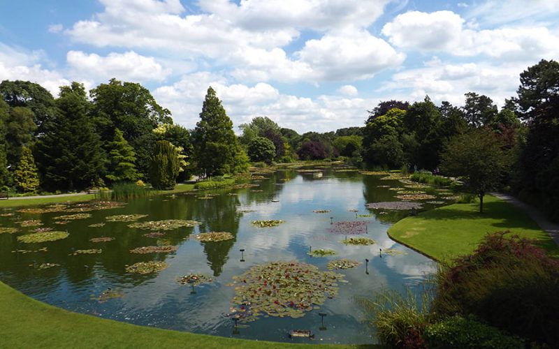 Burnby Hall Gardens - Photograph by Peter Rogers 3