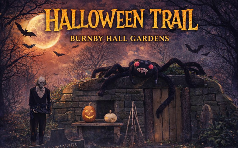 Halloween-Trail