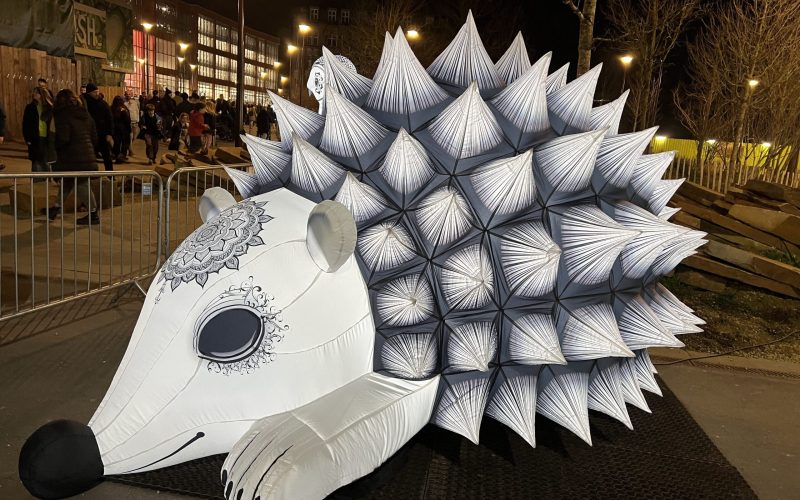 NocturnHOG Carlton Towers