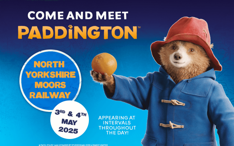 Paddington Movie Costume Template 1000x650_v2
