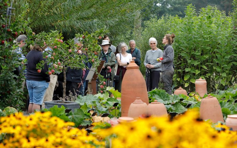 Press-Harlow Carr_Festival Of Flavours_Phil Taylor_Sept_2024_053-min