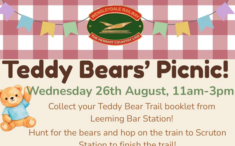 Teddy Bears Picnic Cropped