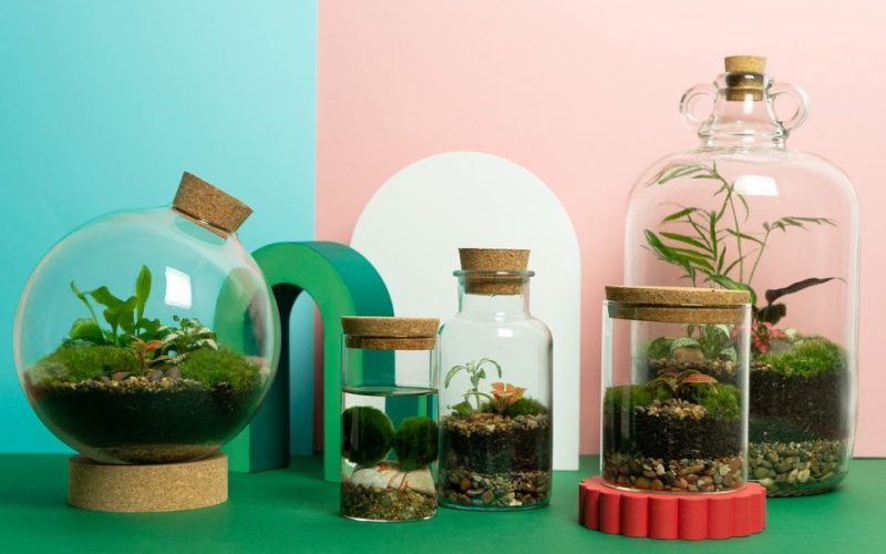 Terrarium Workshop (002)