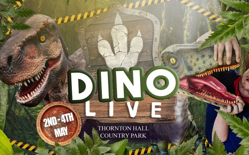 Thornton Hall Dino Live Rectangle small