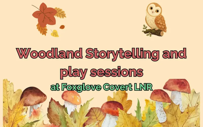 Woodland Storytelling & Play Sessions