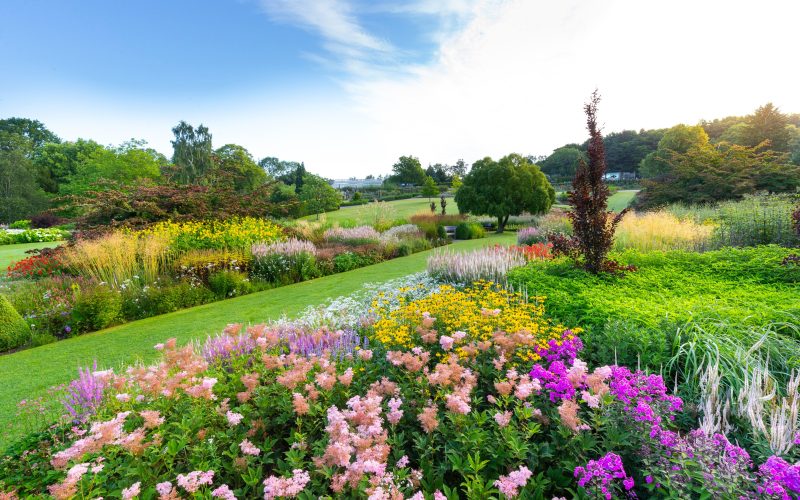 The Main Borders at RHS Garden Harlow Carr