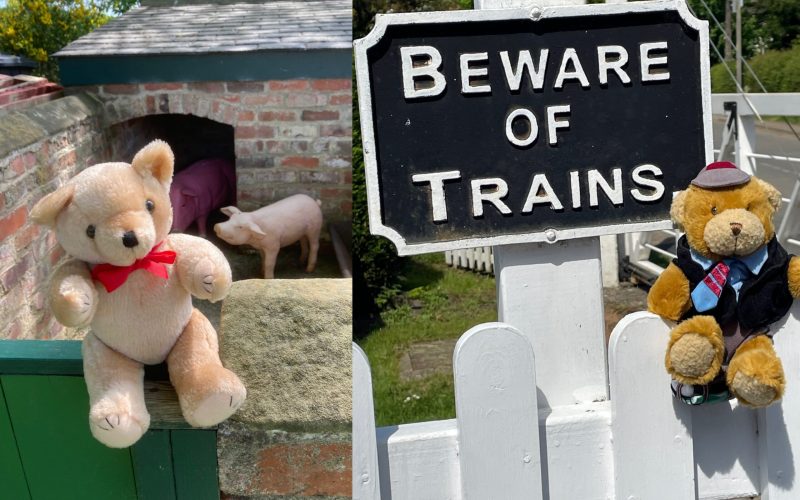 teddy-bears-picnic-2026 (press-release-2)